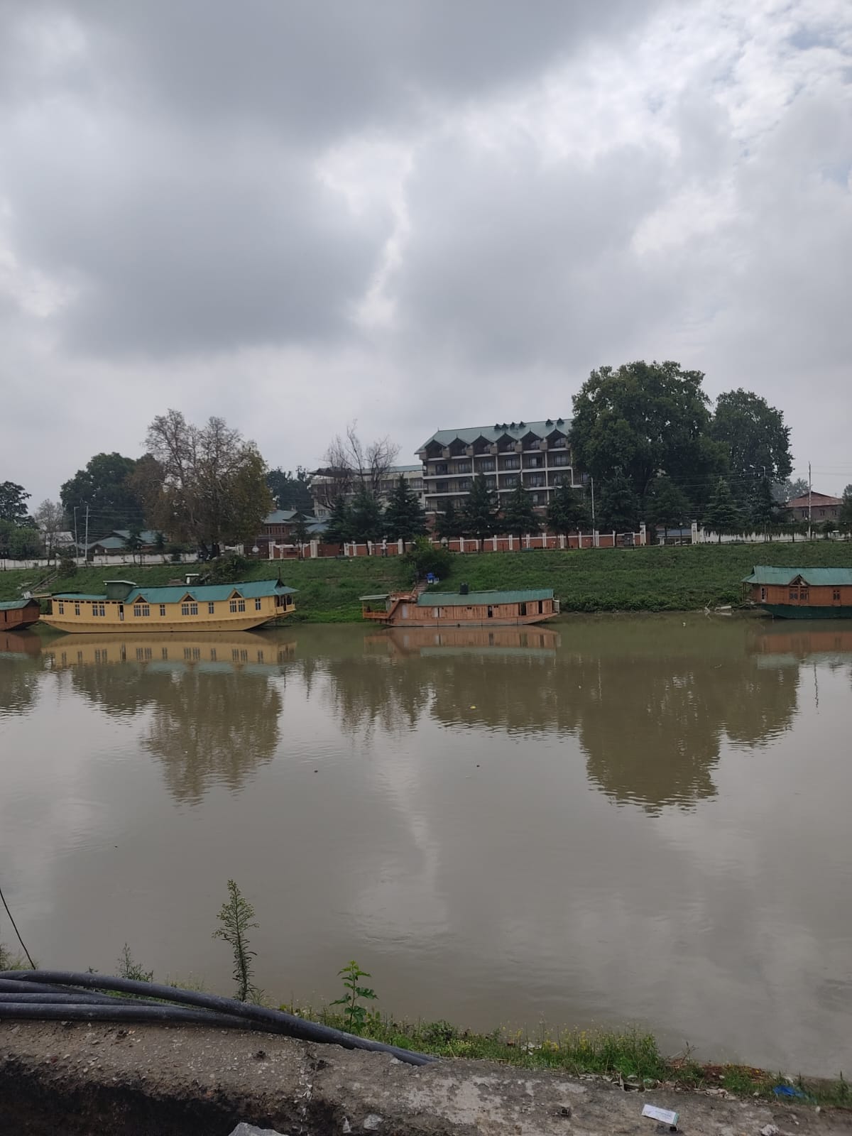 View